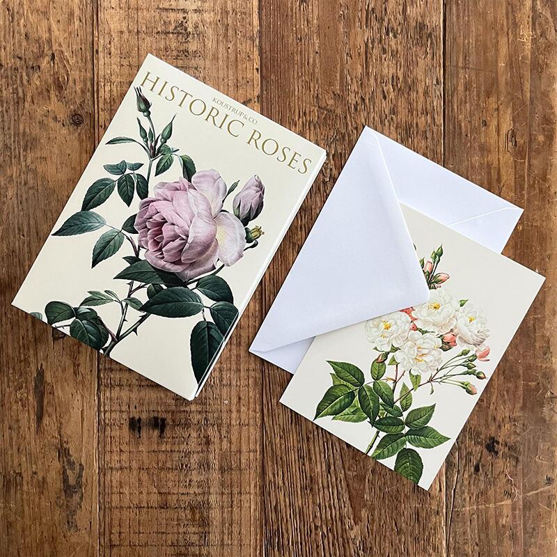 Historic Roses – 8 cards – Koustrup & Co